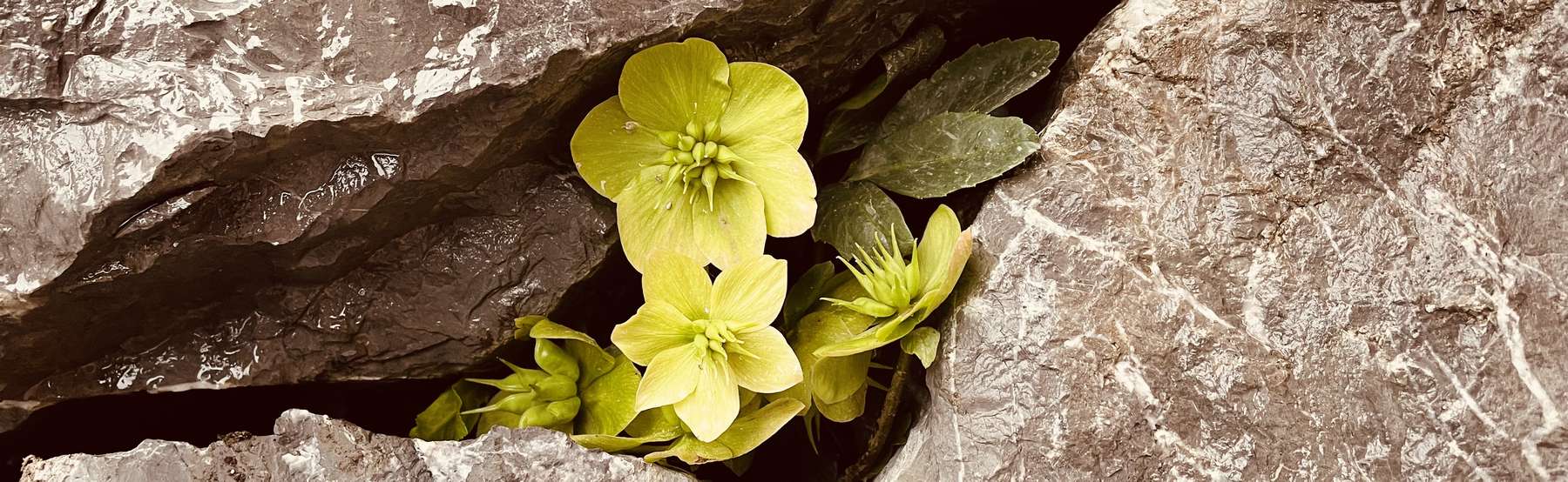 Riba67 Ferienwohnung Lindau Bodensee Riba67 Ferienwohnung Lindau Bodensee